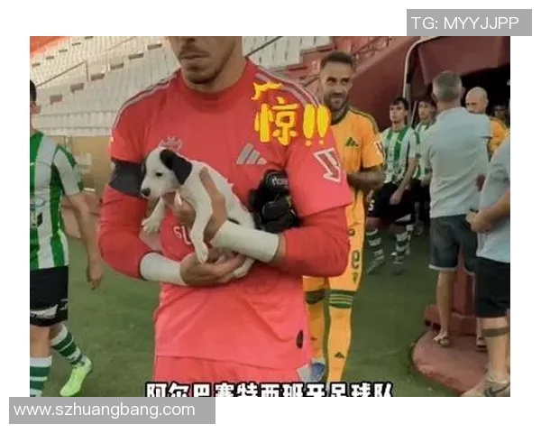 外国足球明星慈善捐款排行榜揭晓影响力与爱心并存的传奇球星